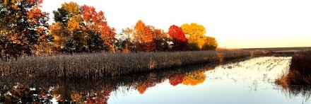 RonMccord56's profile banner image