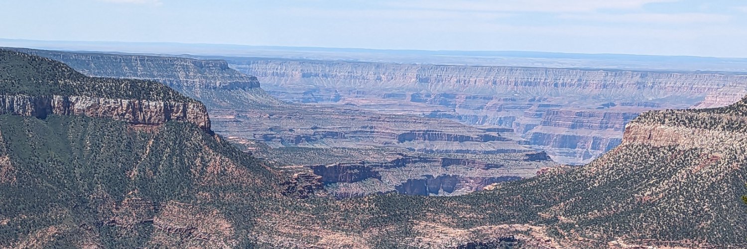 Country Over Party 🌵 banner