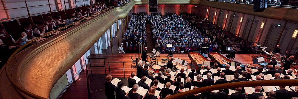 CKHaarlem's profile banner image