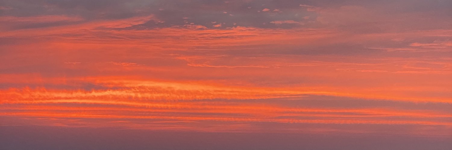 allysullivann's profile banner image