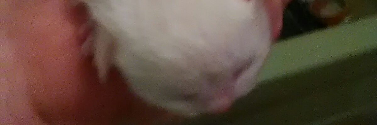 RealCountry9815's profile banner image