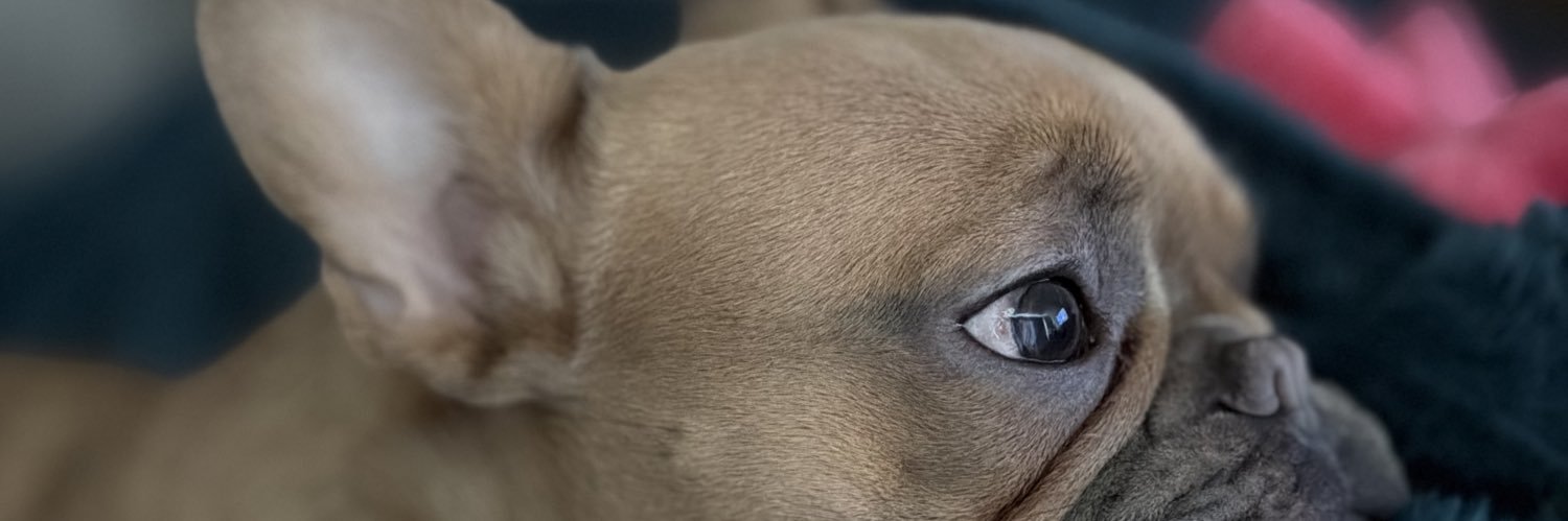 BrockPaperScizz's profile banner image