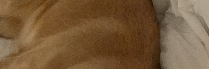 mayyptgp's profile banner image