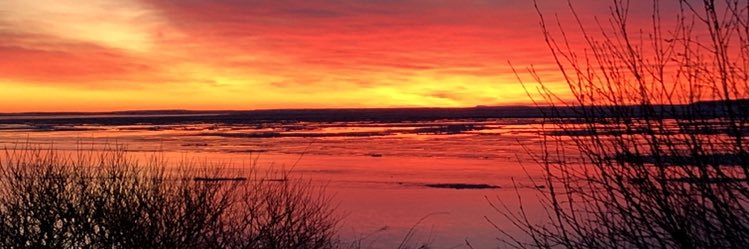 Matthew Tennyson banner