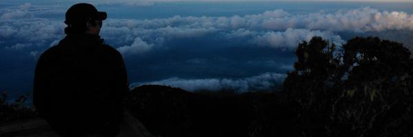 Edwhindyn Profile Banner