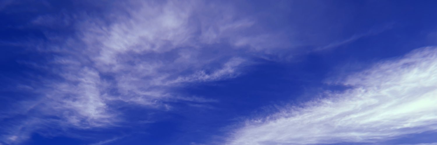 selfless_bee's profile banner image