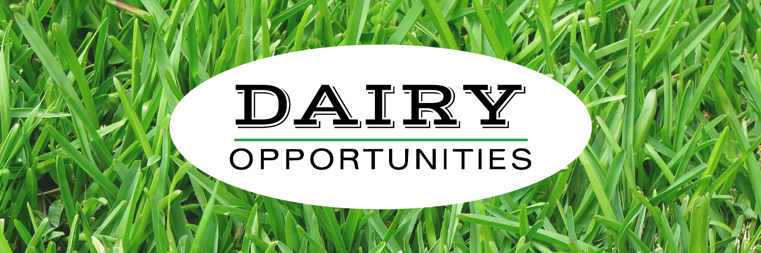 Dairy Opportunities banner