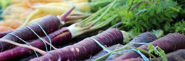 UC_Nutrition's profile banner image