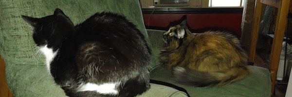 sheryll_ings Profile Banner