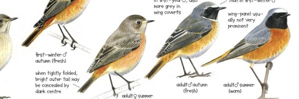 SoundApproachUK Profile Banner