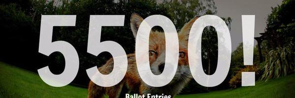 MeetTheFox Profile Banner