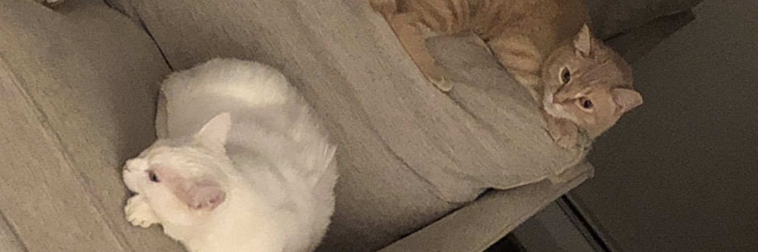 AlasknBullWorm's profile banner image