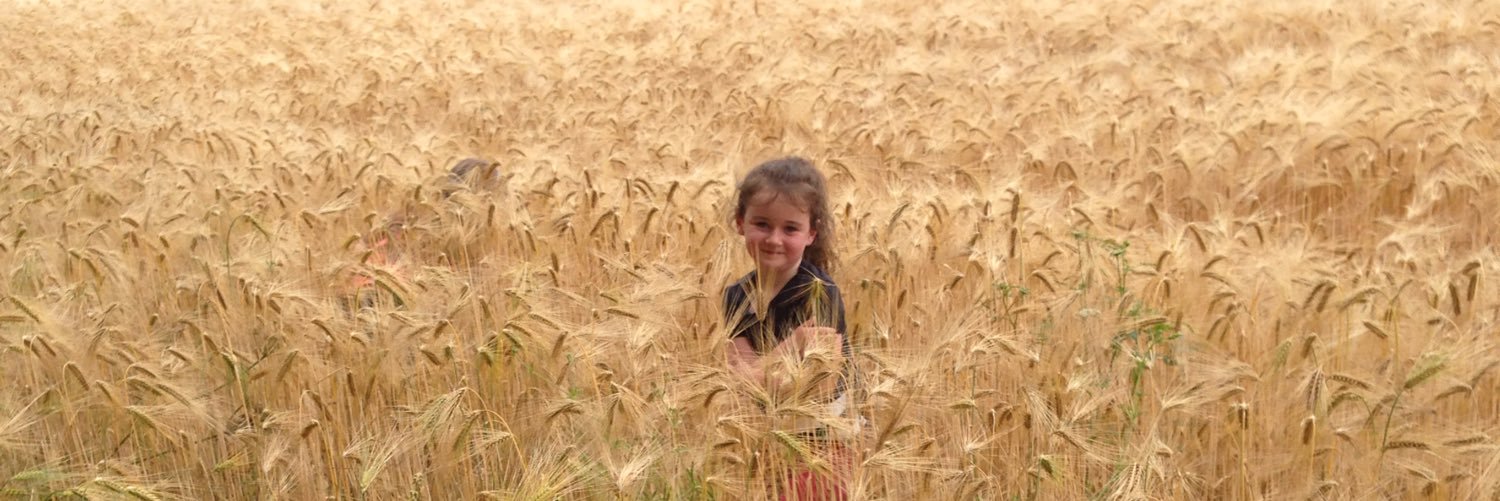 majella100's profile banner image