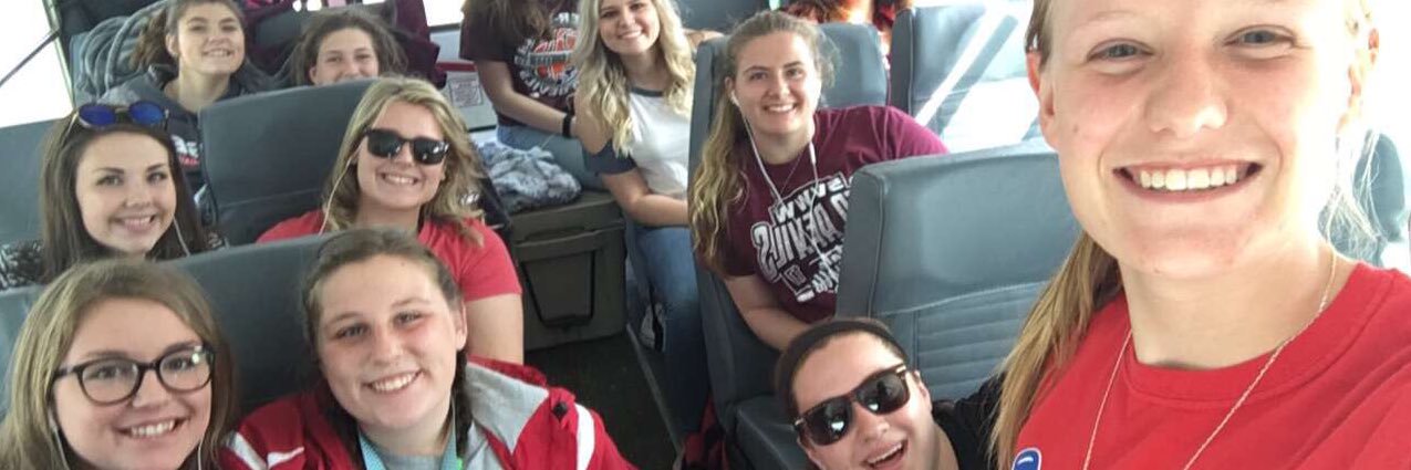 WSVsoftball's profile banner image