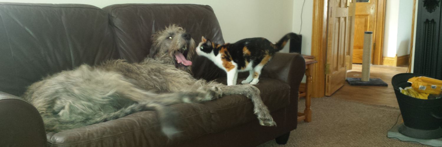 daniellekeogh's profile banner image