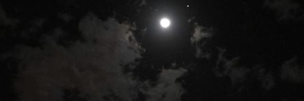 NilayOzer's profile banner image