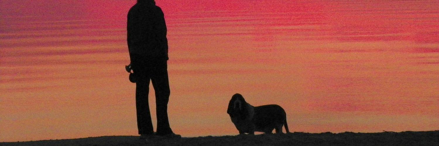 MaxTheBasset's profile banner image