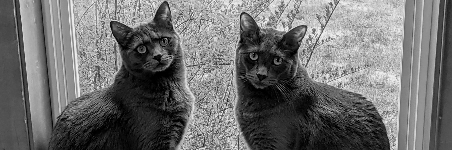 lee_tamarah's profile banner image