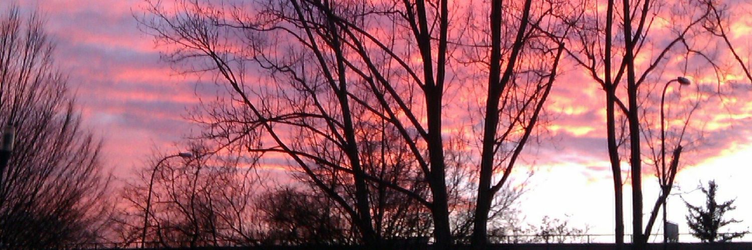 FreundSoham's profile banner image