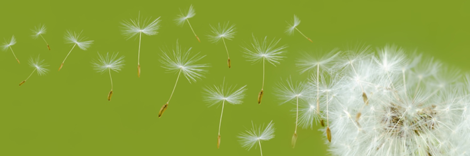 Michel De Vos banner