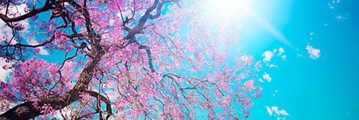 420Kelsi's profile banner image
