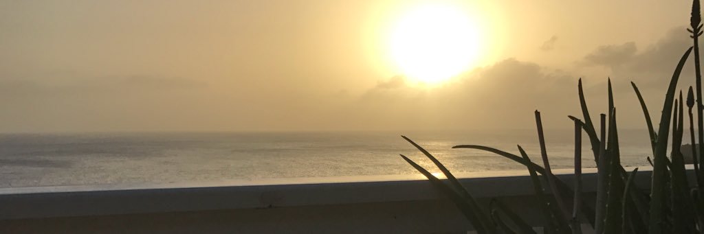 ksjogie's profile banner image