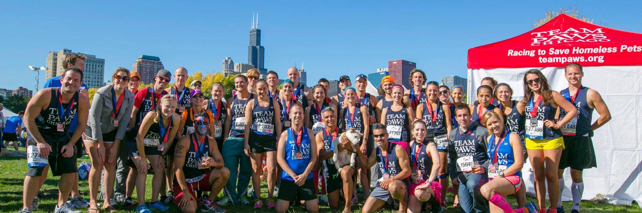 TeamPAWSChicago's profile banner image