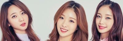 SUS4intl's profile banner image