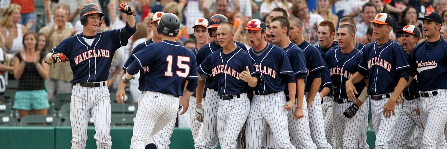 Wakeland Baseball banner