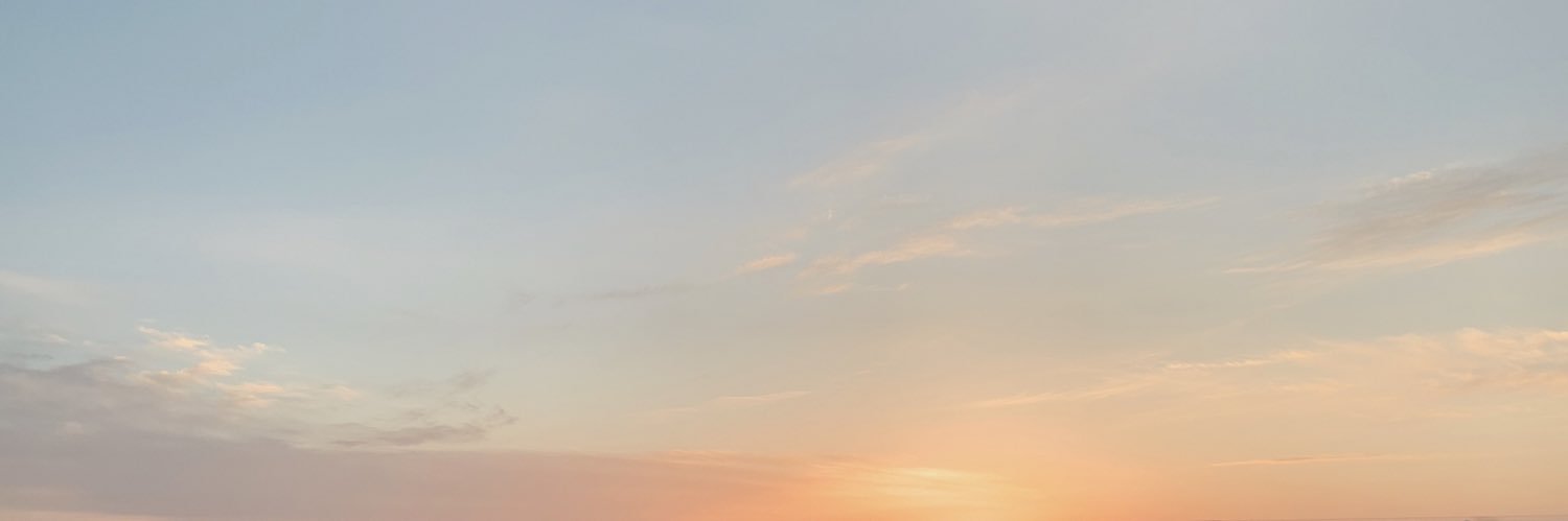 joyeuxnoel___'s profile banner image