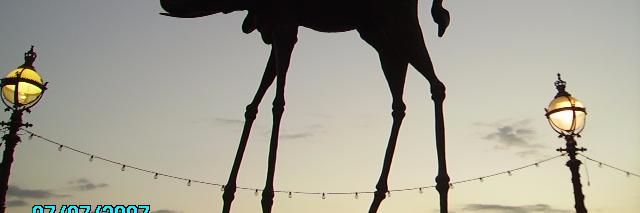 jackieduj's profile banner image