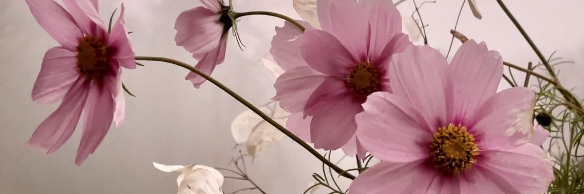 Krista banner