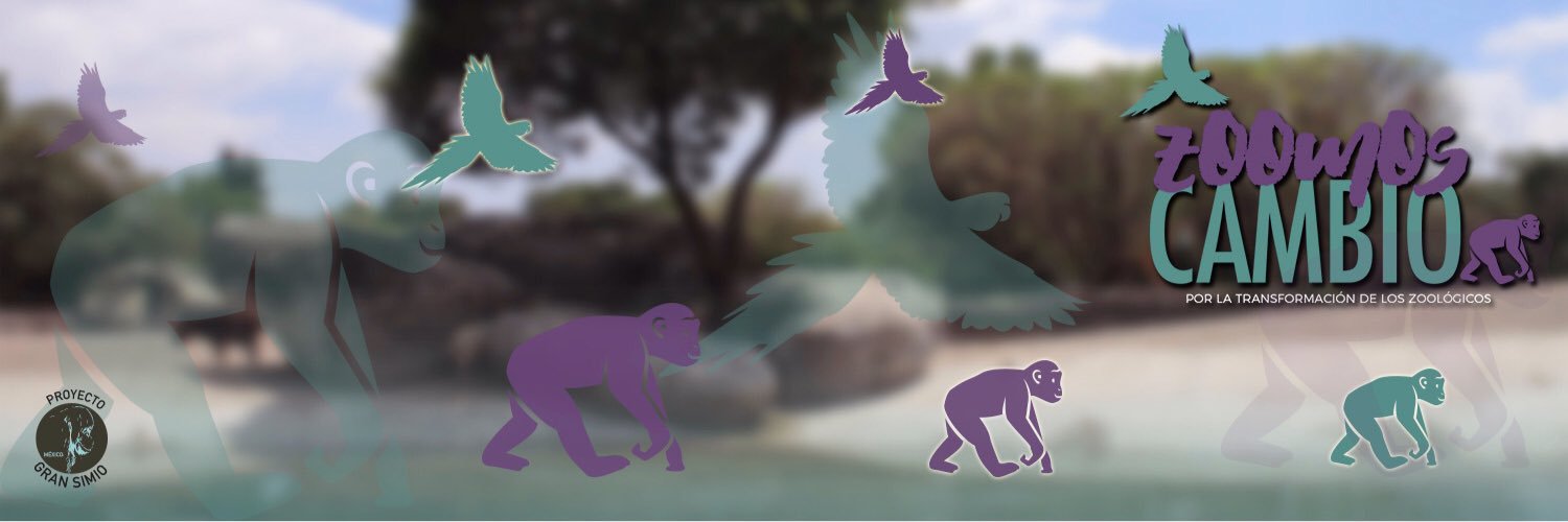 pgsmx's profile banner image