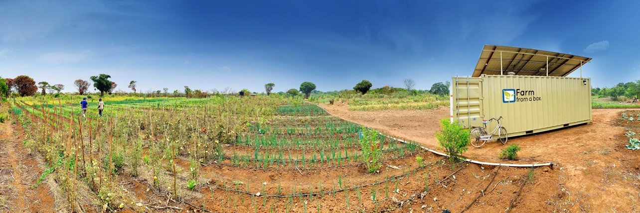 Farm from a Box banner