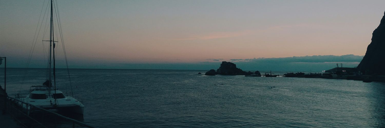Calmnist's profile banner image