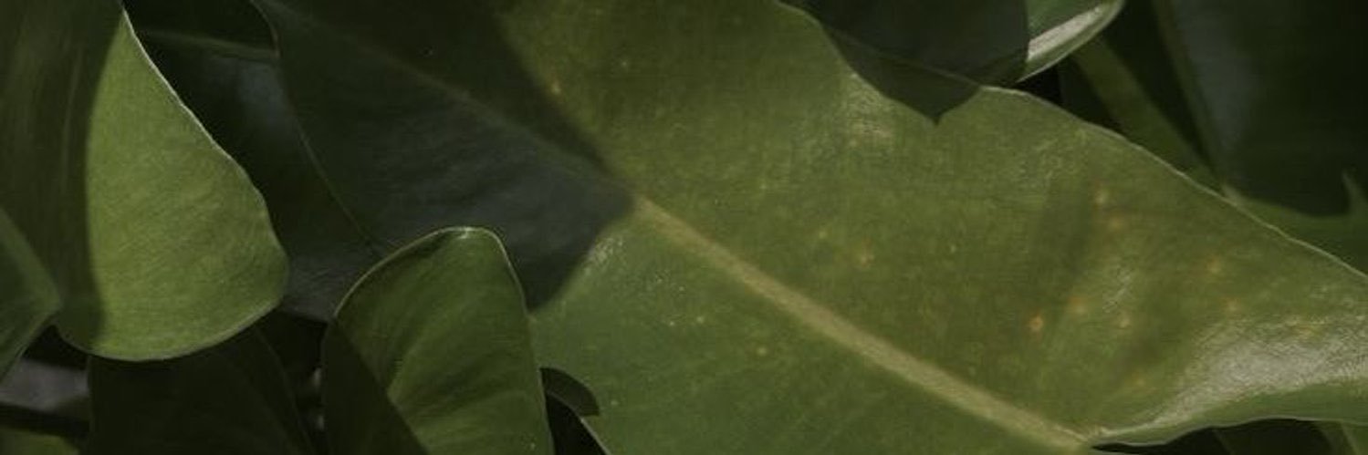 ‏۫ banner