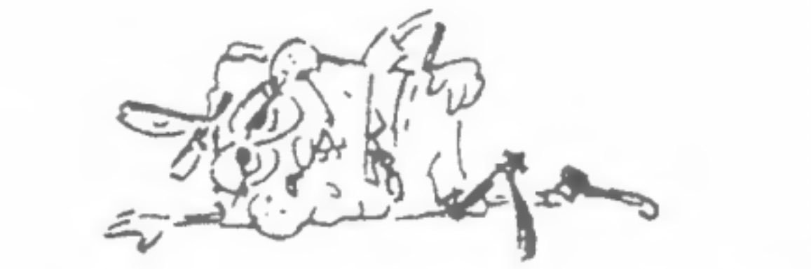 Andrew banner