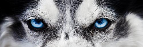 AndreRPCKJ's profile banner image