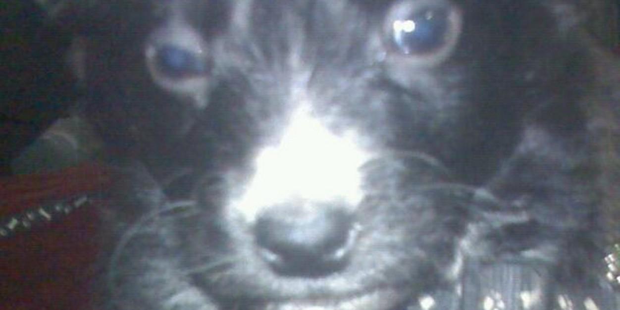 Turko1974El's profile banner image