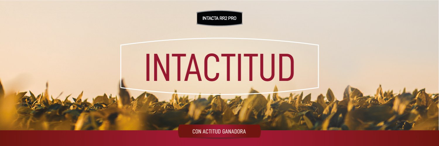 INTACTA RR2 PRO banner