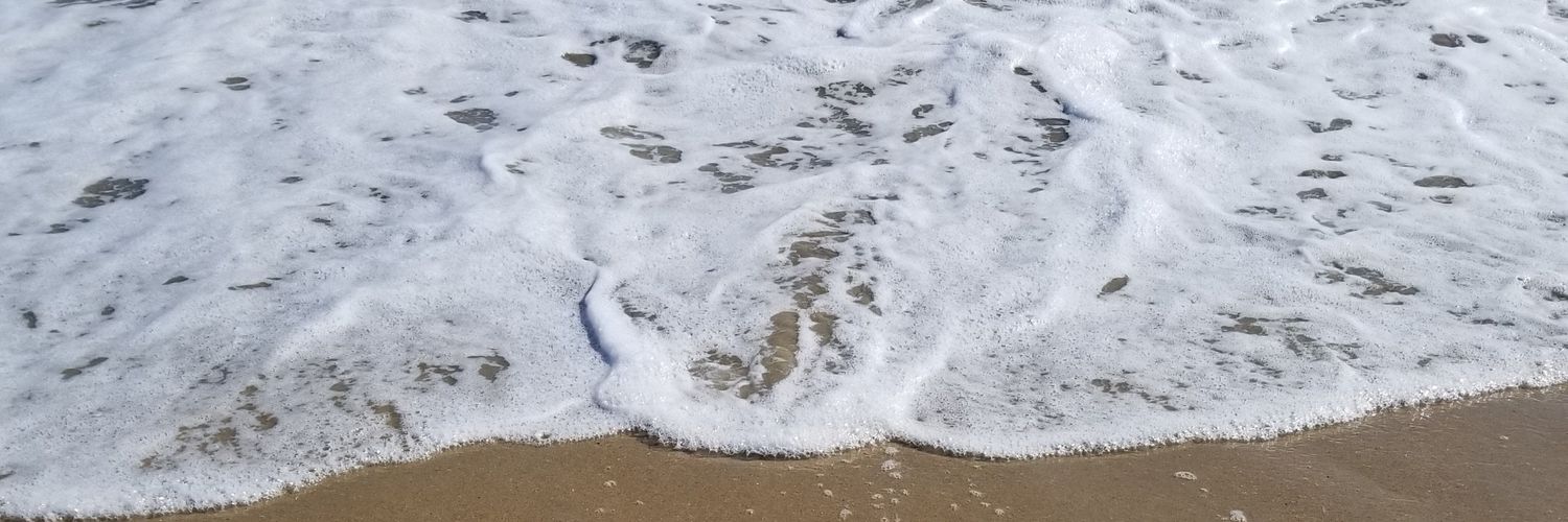 Ellaforeals's profile banner image
