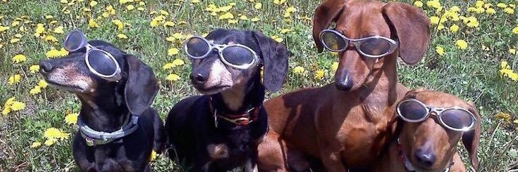 ManuPiniero_'s profile banner image
