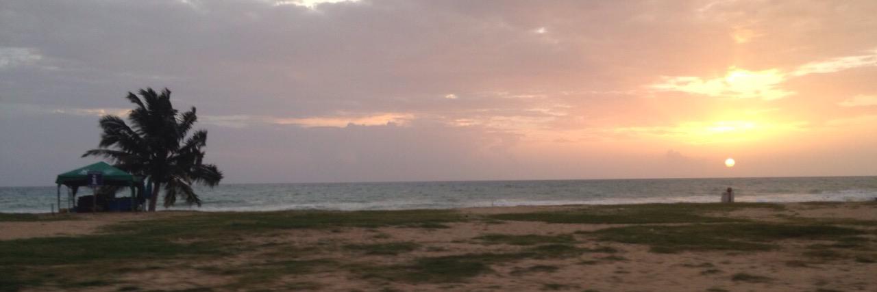 LauraJFlanners's profile banner image