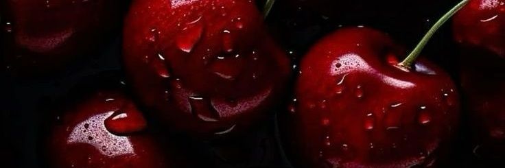 Sashii_Ro's profile banner image