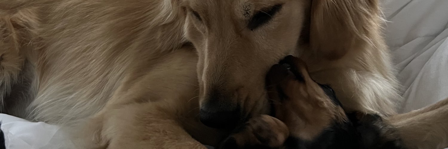 BreezeyRobinson's profile banner image
