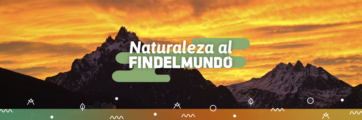 Instituto Fueguino de Turismo banner