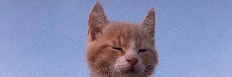 steintunna's profile banner image