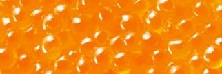 kitamura_taichi's profile banner image