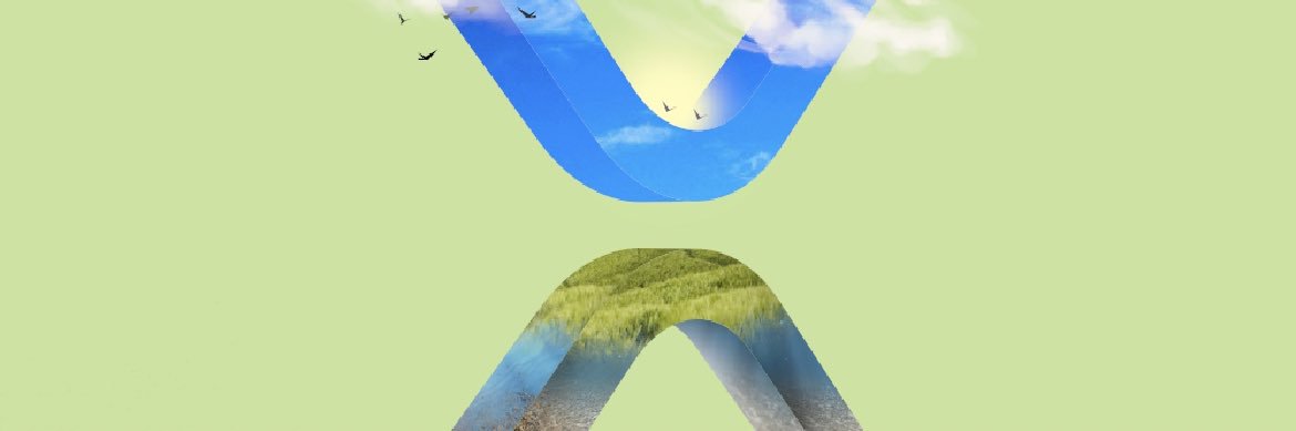 Chris Naylor #XRP #HBAR #AMP banner