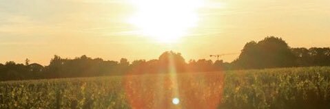 dailh71's profile banner image